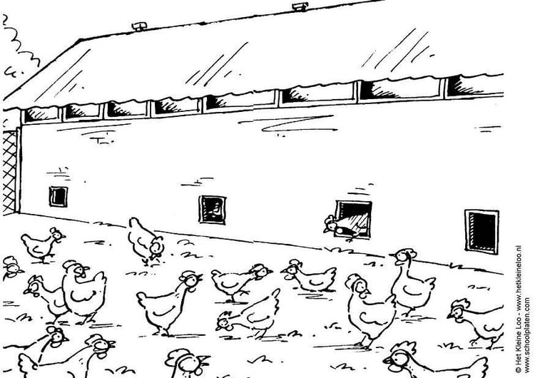 Coloring page chicken stable