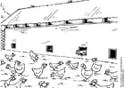 Coloring page chicken stable