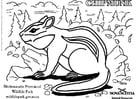 Coloring page chipmunk