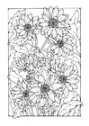 Coloring pages chrysanthemum