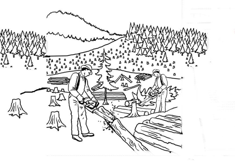 Coloring page clear cutting the forest