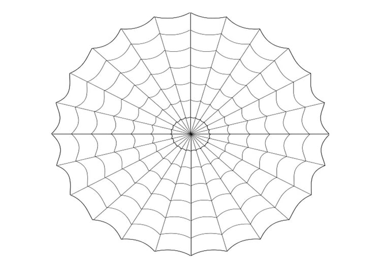Coloring page cobweb