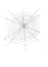 Coloring page cobweb