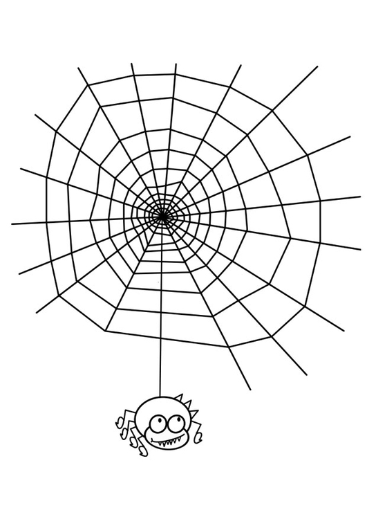 Coloring page cobweb with spider