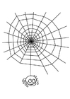 Coloring page cobweb with spider