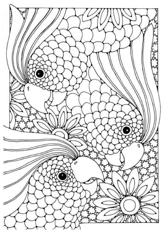 Coloring page cockatoo