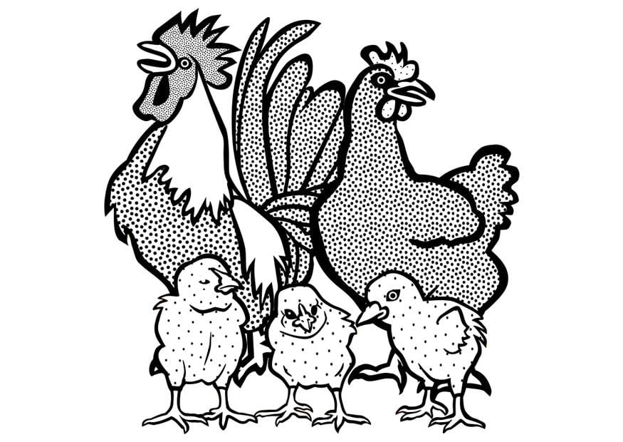 Coloring page cockerel, hen and chicks