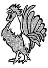 Coloring page cockerel