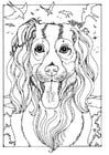 Coloring page collie