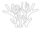 Coloring page coral