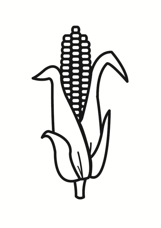 Coloring page corn