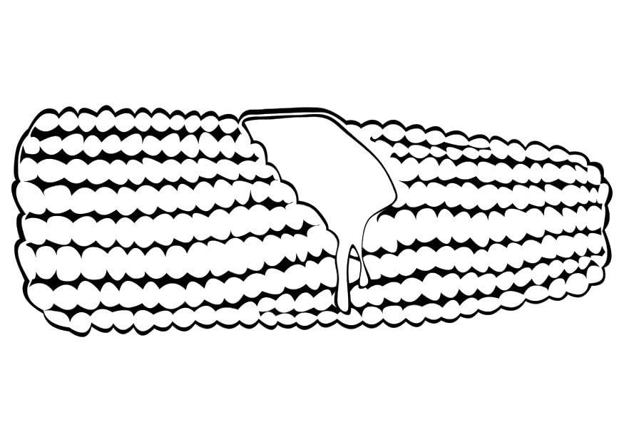 Coloring page corn on the cob