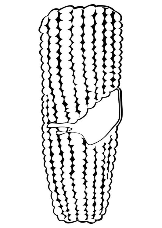 corn on the cob