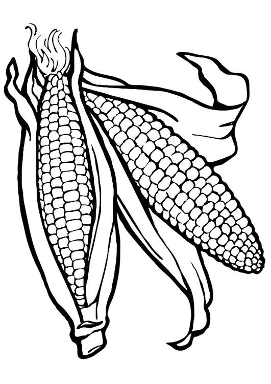 corn