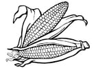 Coloring pages corn