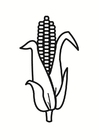 Coloring pages corn