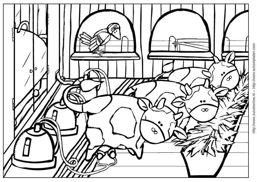 Coloring page cow 4