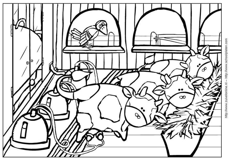 Coloring page cow 4