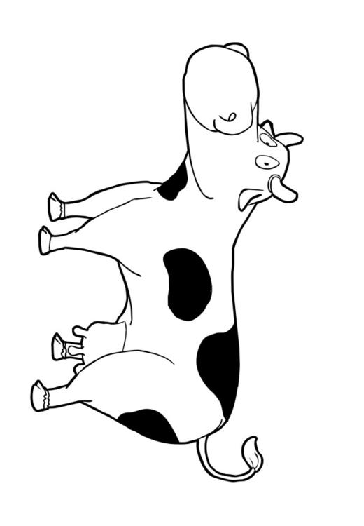 cow