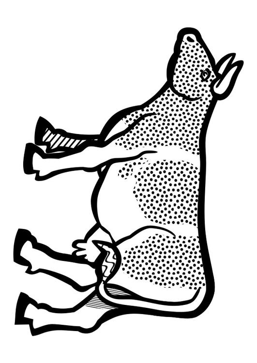 cow