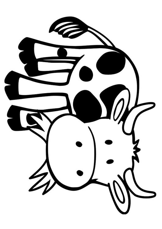 cow