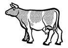 Coloring pages cow