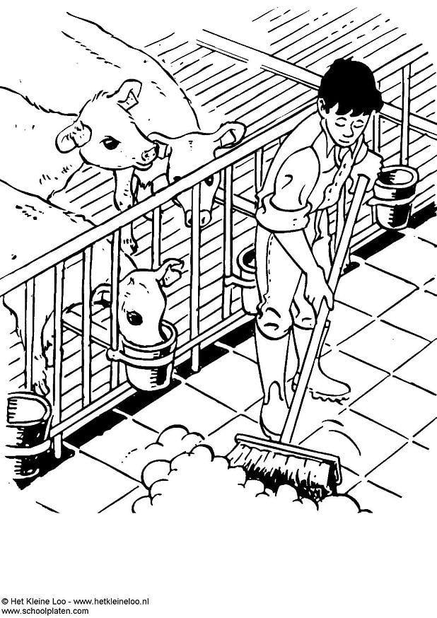 Coloring page cow stall