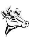Coloring pages cow with horns