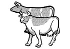 Coloring pages cows
