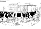 Coloring page cows
