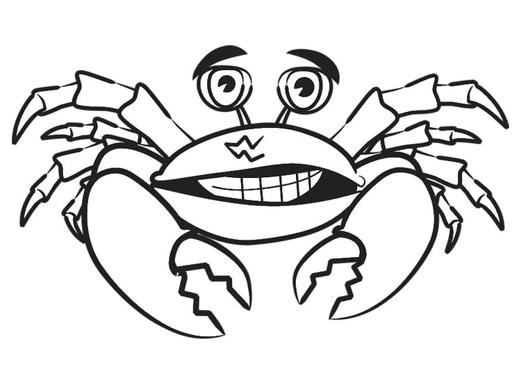 Coloring page crab