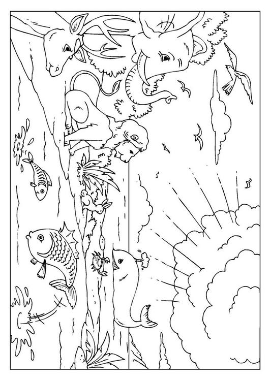 creation
