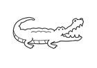 Coloring pages Crocodile