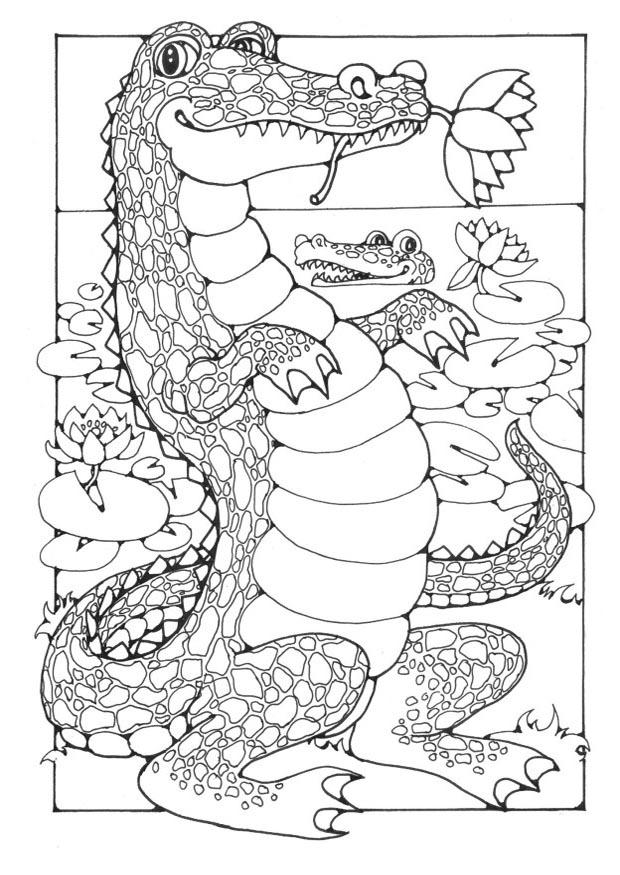 Coloring page crocodiles