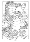 Coloring page crocodiles