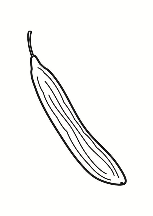 Coloring page cucumber