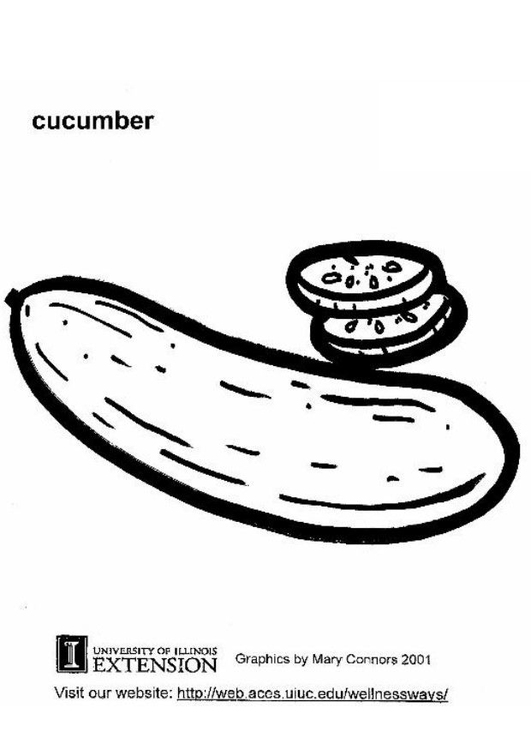 Coloring page cucumber