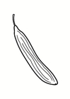 cucumber