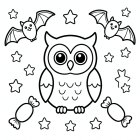 cute owl with bats
