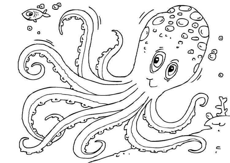 Coloring page cuttlefish
