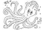 Coloring pages cuttlefish