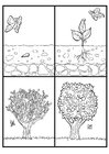 Coloring pages cycle appletree