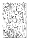 Coloring page daffodil