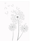 Coloring pages dandelions