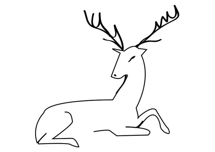 Coloring page deer
