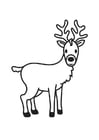 Coloring page Deer