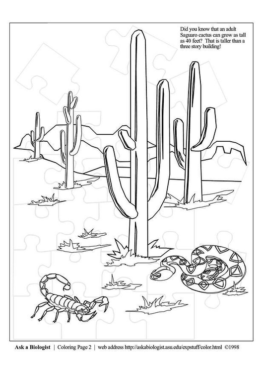 Coloring page desert