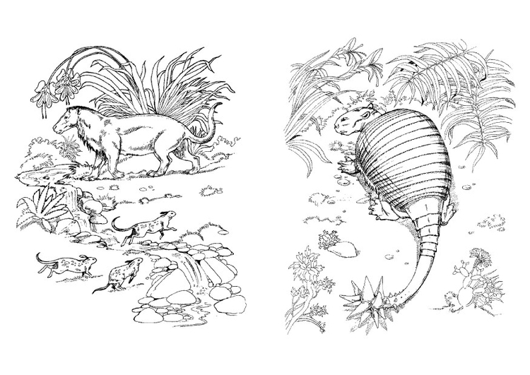 Coloring page dinosaur and predator
