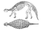 Coloring page dinosaur - ankylosaurus 