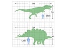 dinosaur dimensions